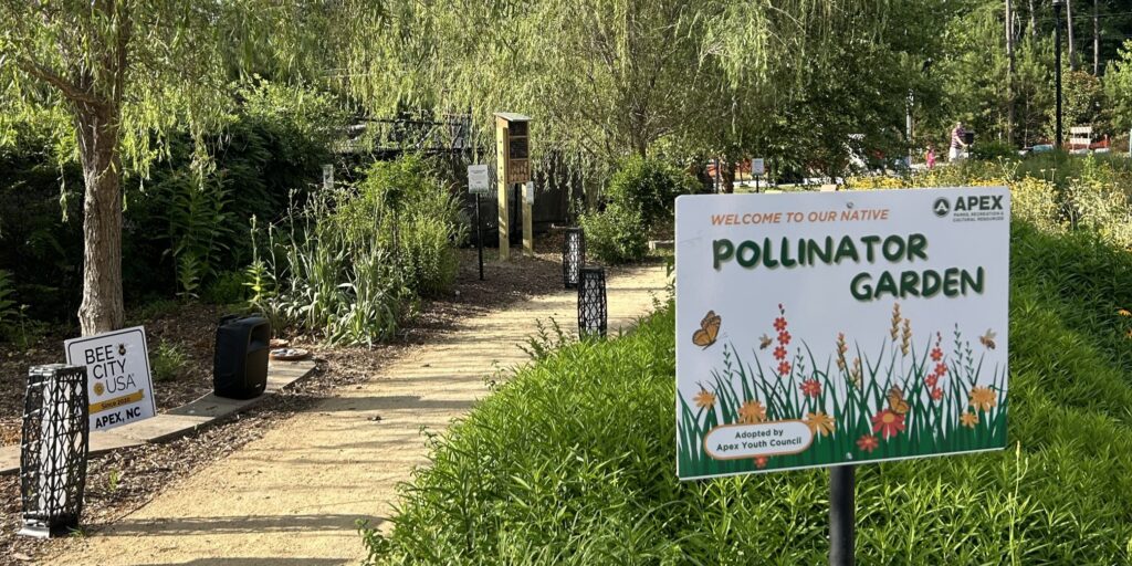 A green garden with a tan path and two white signs.