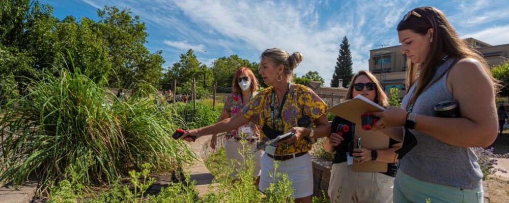 2023_California_State_University_Sacramento_CA_outdoor_classroom a