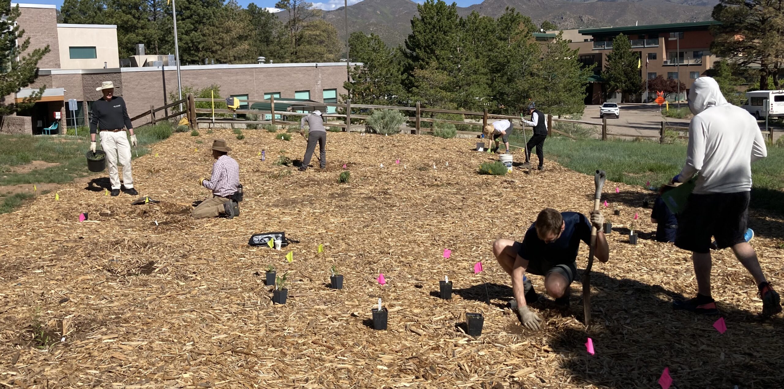 Eight people kneel and stand planting plants in a brown, mulched garden.