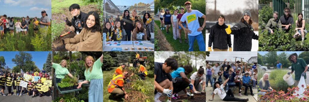 A collage of 12 photos of various people doing activities outdoors.