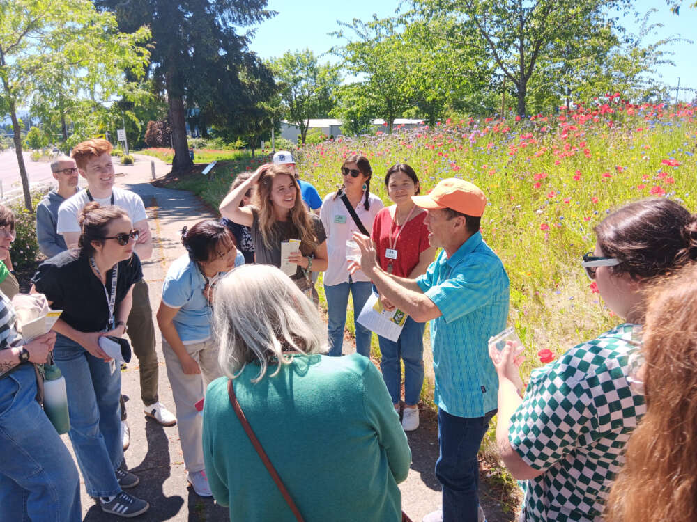 A large group gather around a person talking in front of a flowering meadow on a sunny day.