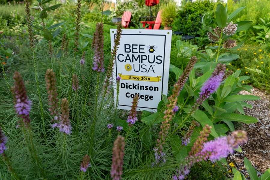 A sign in a garden.
