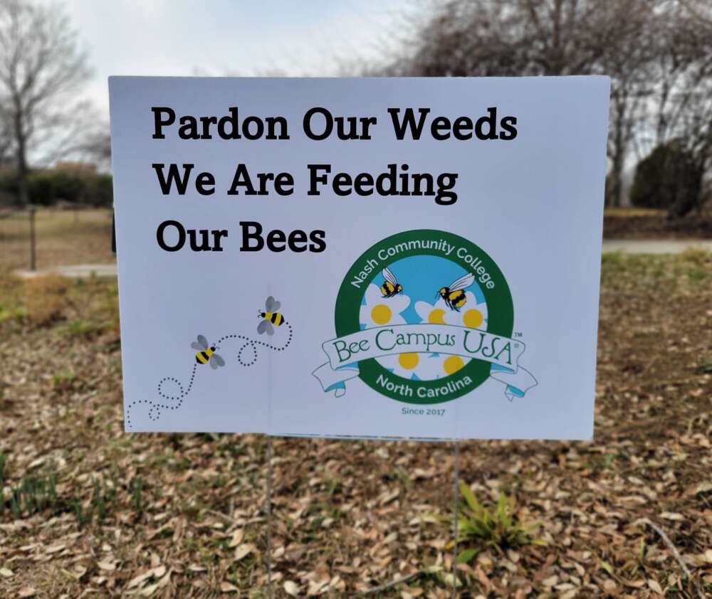A sign on a lawn.