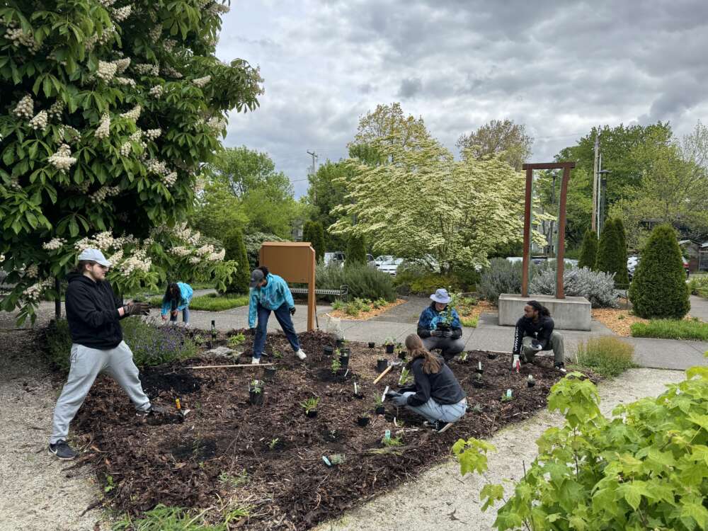 6 people planting small plants with trees in the background.
