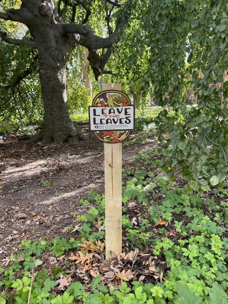 A sign reading "Leave the Leaves"