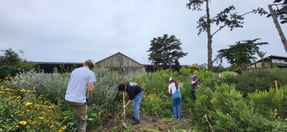 4 people garden with low buildings in a background.