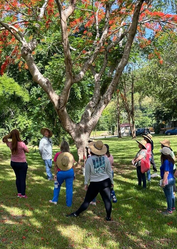 Around 10 people stand around a tree on a lawn.