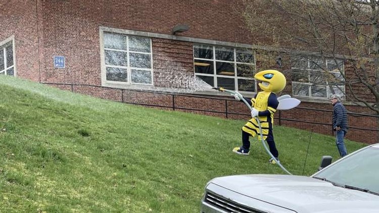 A person in a bee costume sprays a grassy hillside.
