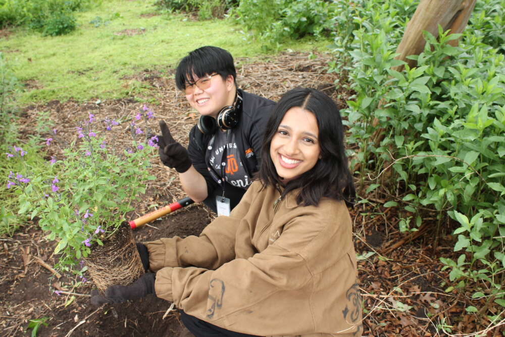 Two people smile while planting plants.