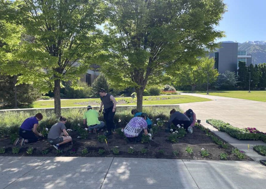 8 people crouch down planting small plants under trees. 