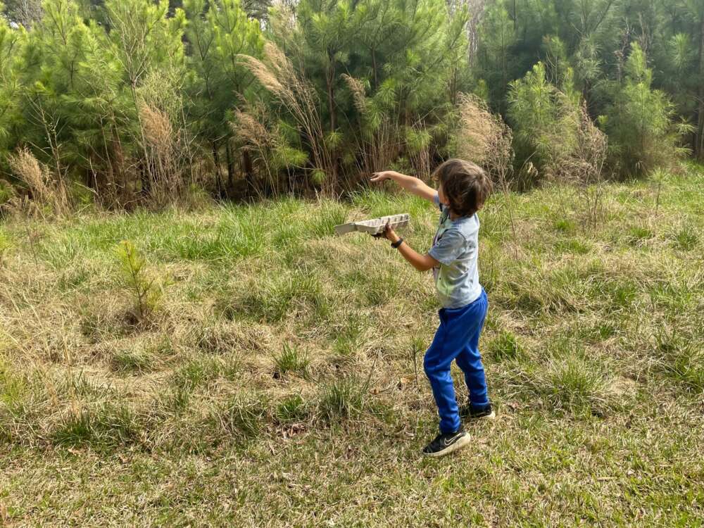 A child throws a seed ball near shrubs.