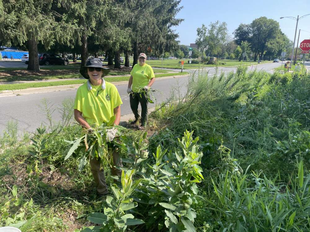 Two people in neon shirts weed near a road