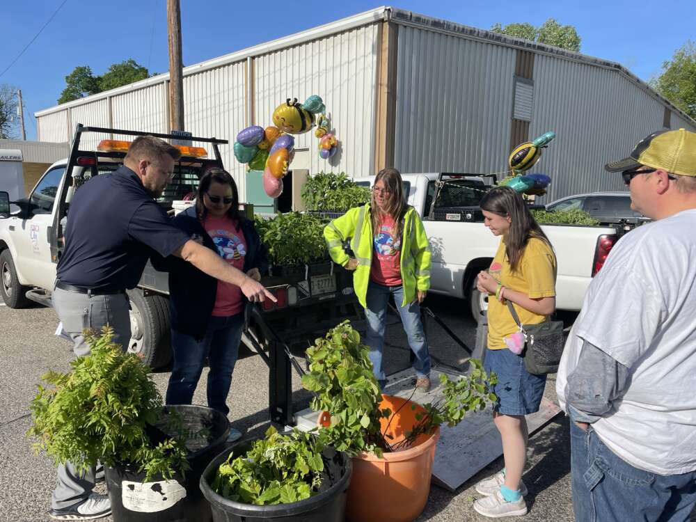 Five people gather around pants in containers on a sunny day,