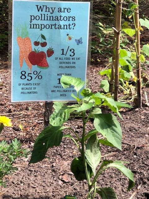 A small sign next to a plant.