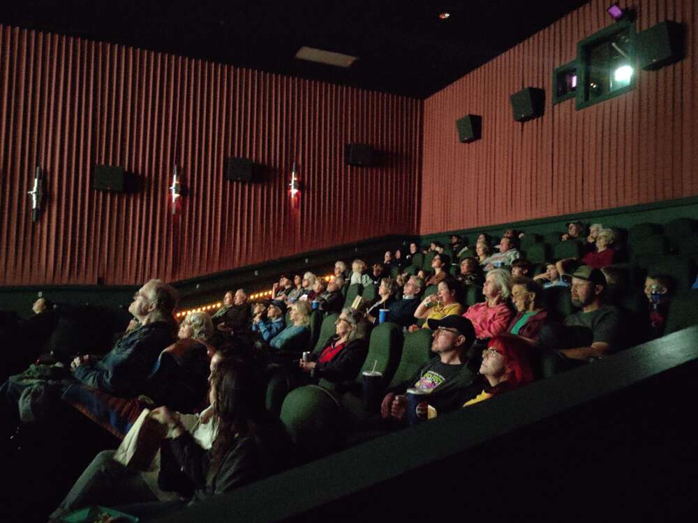 A large group of people look at a screen in a dark theater.