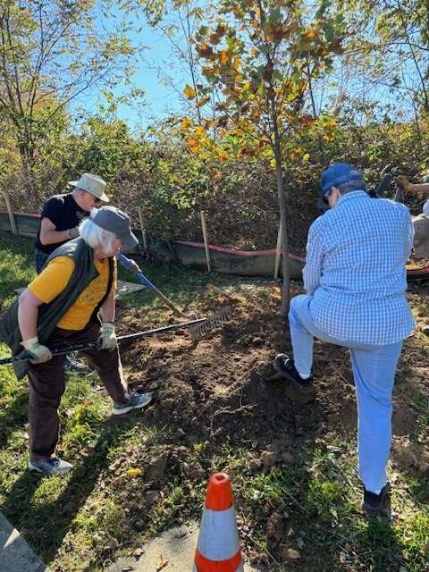 Three people use garden tools around a freshly planted sapling.