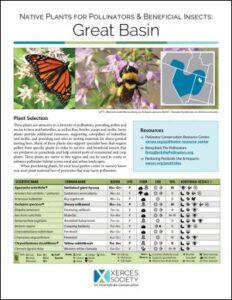 An image of a document with small photos