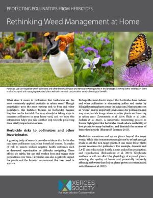 An image of a document with small photos