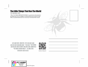 The back of a postcard with text