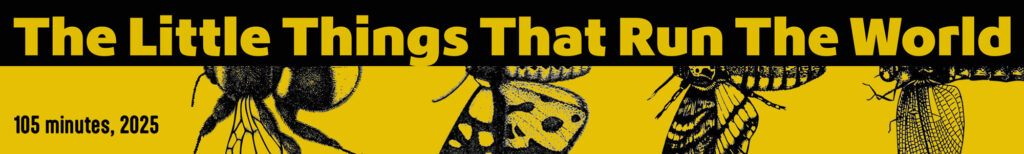 Black and yellow text with insect images.