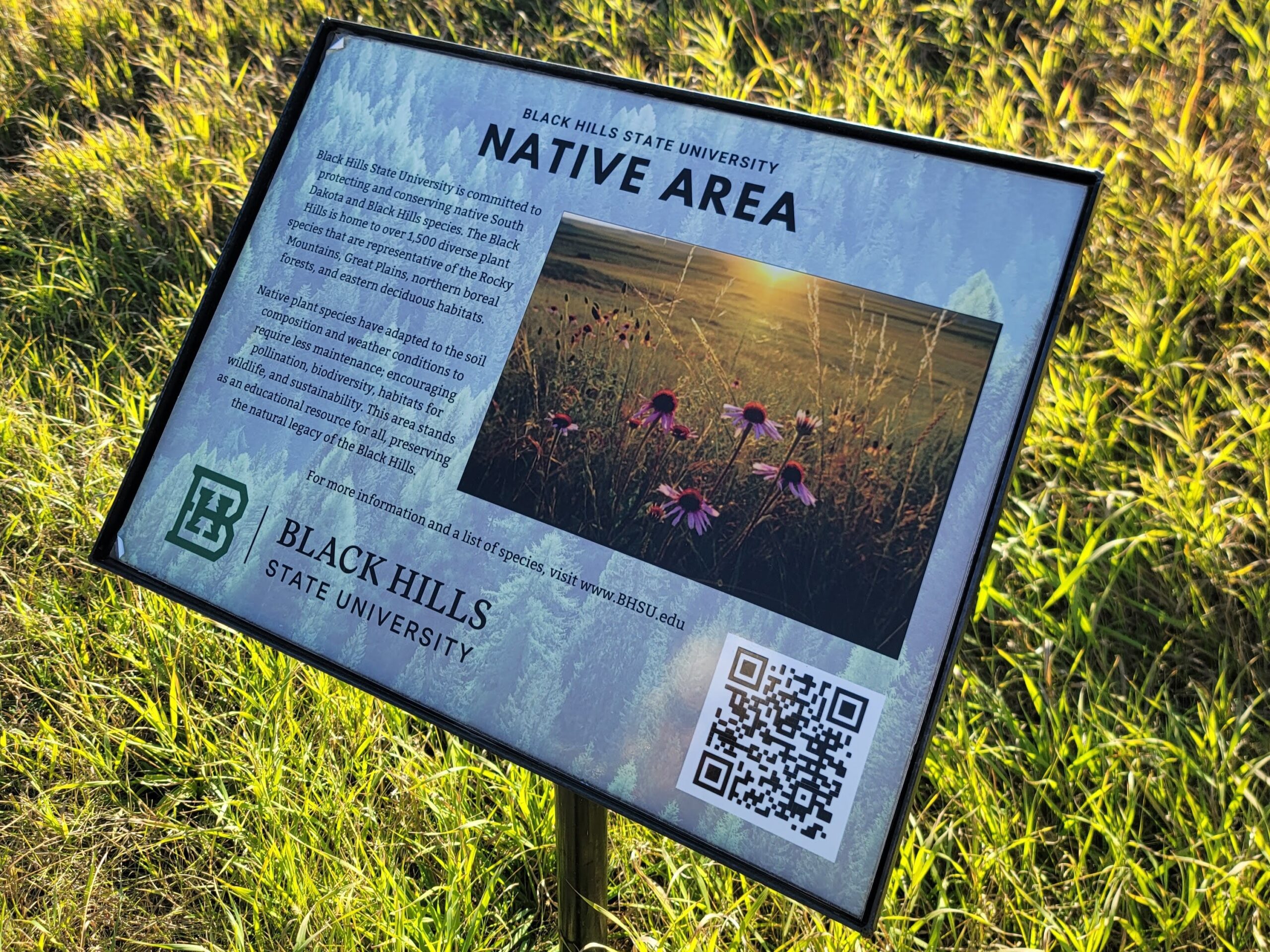 A interpretive sign with a photo of a flowering meadow.