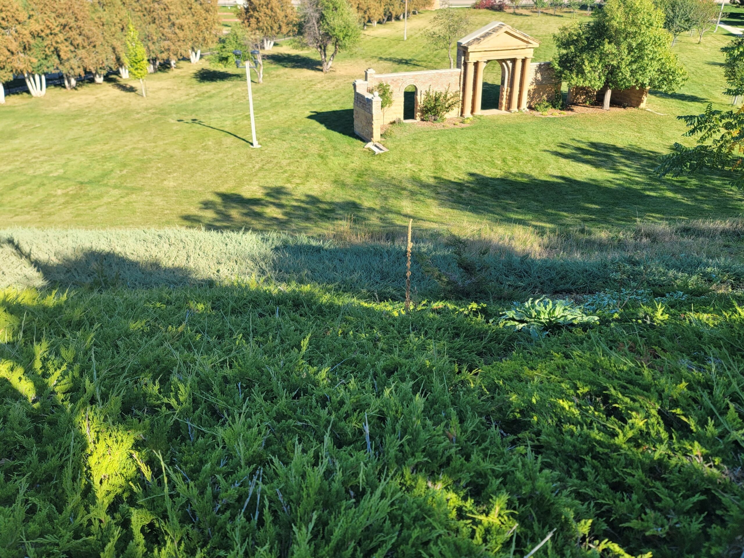 An overlook of a shrub covered hillside with a green lawn in the background with building.