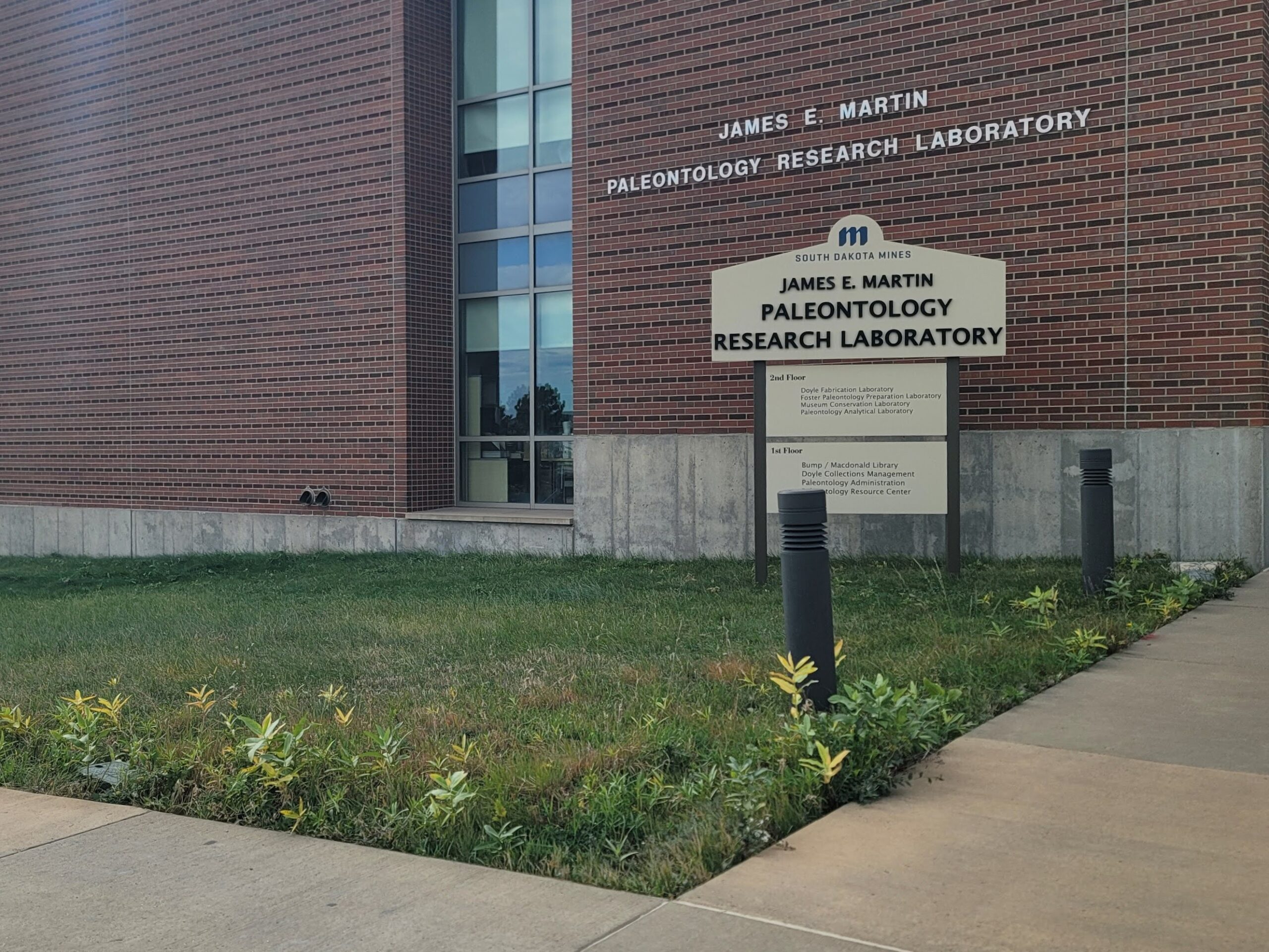 A lawn with milkweed growing in front of a red brick building.