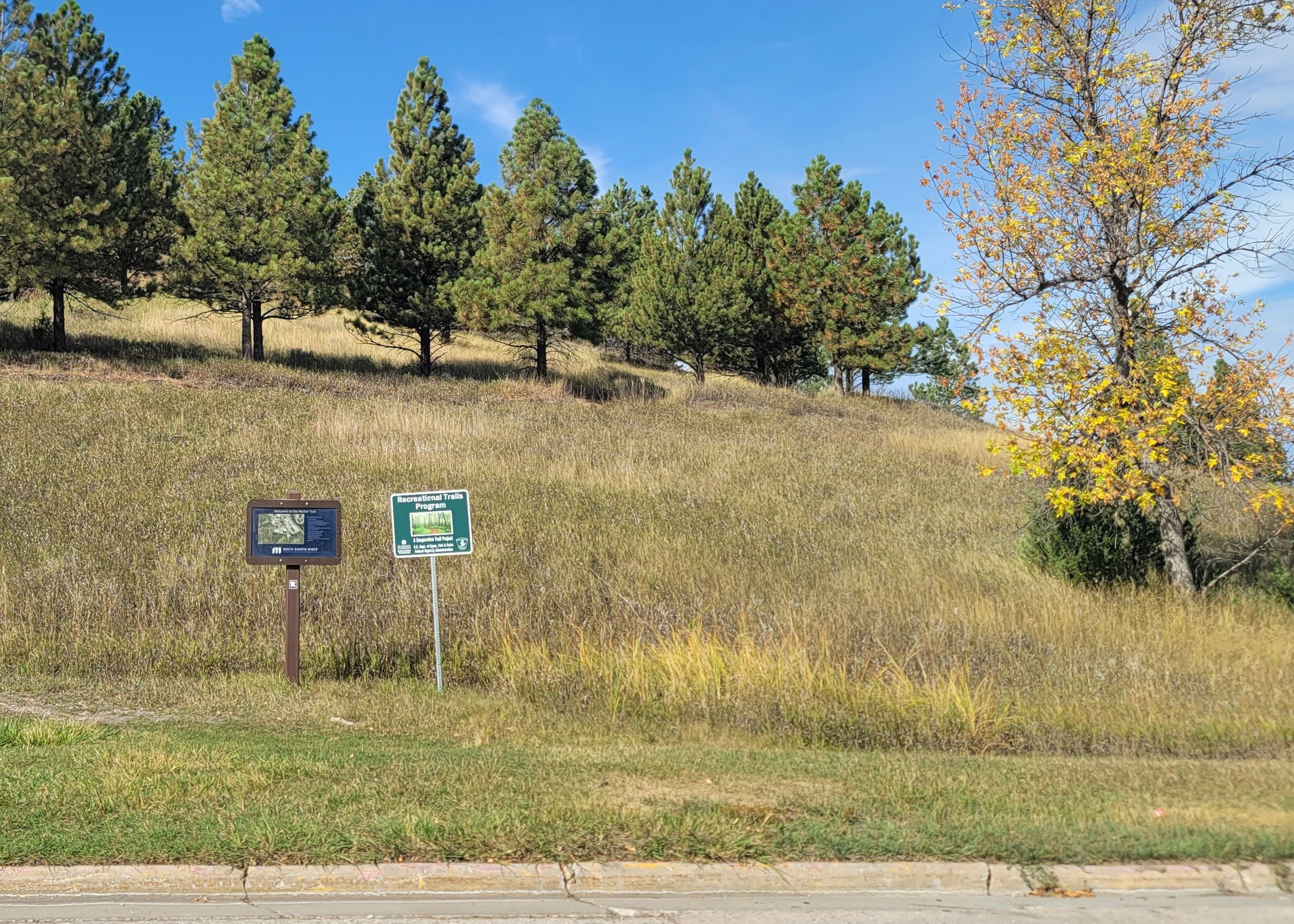 Two signs on a grassy hill with conifer trees.