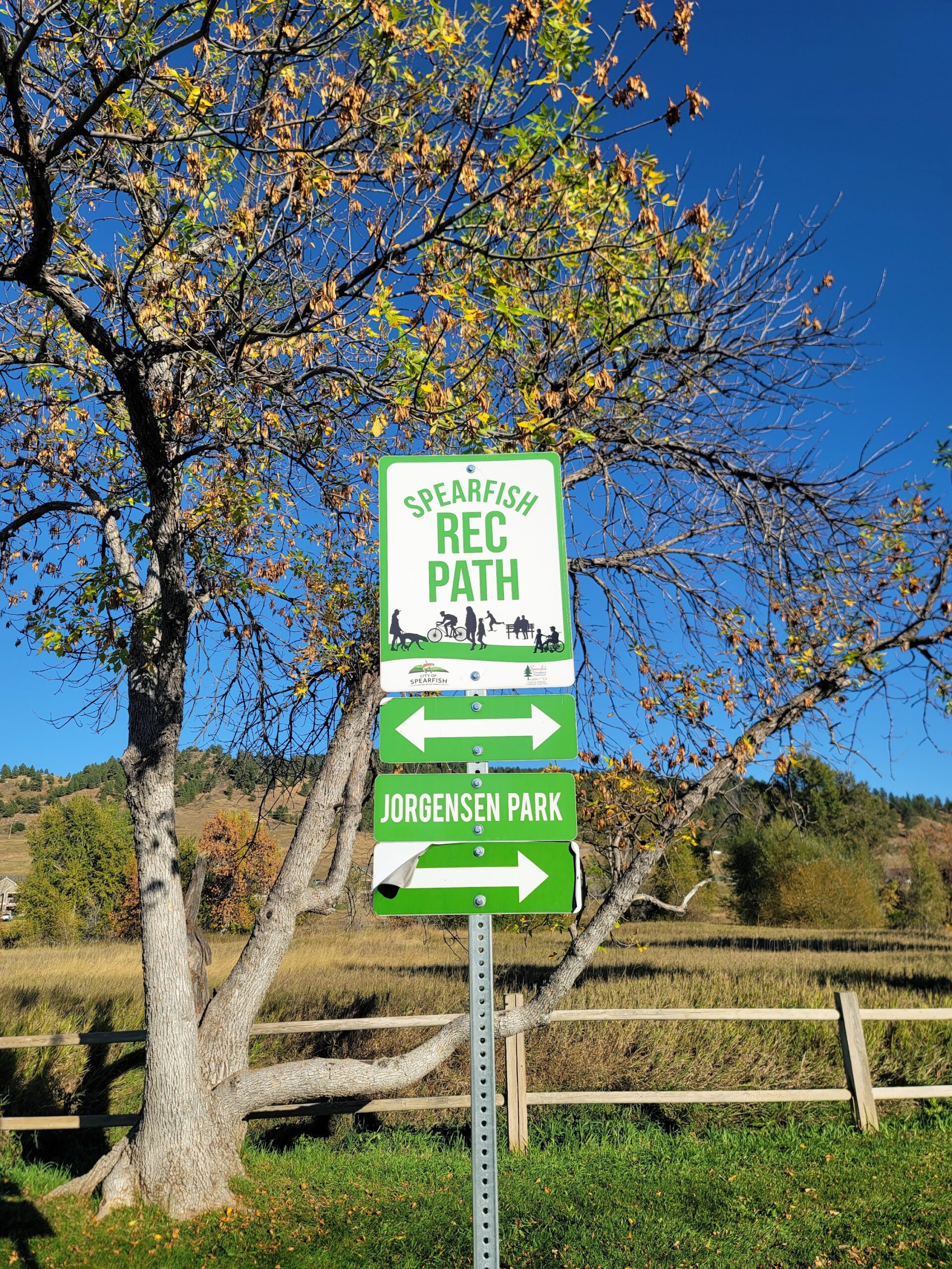 Two signs by a tree.