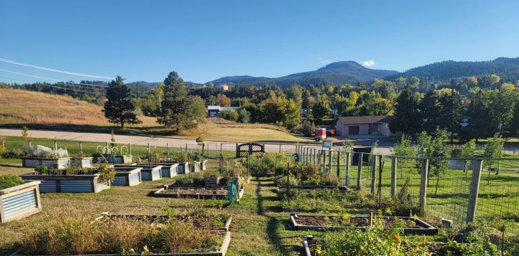 View of a garden with short raised beds in a grid pattern, surrounded by green grass and a fence. Hills and blue sky in the background.