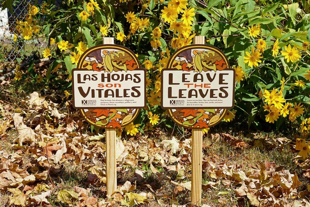 Two signs thay say "leave the leaves", one in spanish, standing amongst a pile of leaves,
