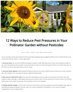 Screenshot of a blog with a photo of a yellow sunflower.