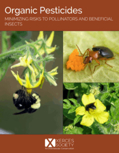 Image of the cover of a publication.