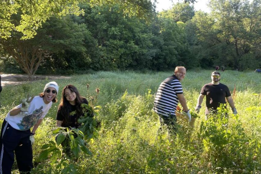 2024_Bee_City_USA_Grapevine_TX_invasives2_Cindy Harris a Four smiling people working in a sunny green meadow at the camera. A dark green forest is in the background.