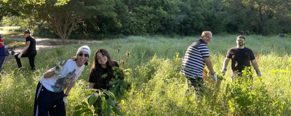 Groups of smiling people work in a sunny green meadow at the camera. A dark green forest is in the background.