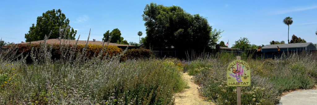 Green sign reading "pollinator habitat" against tall plants