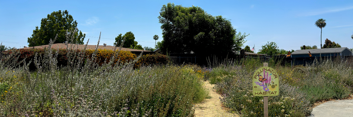 Green sign reading "pollinator habitat" against tall plants