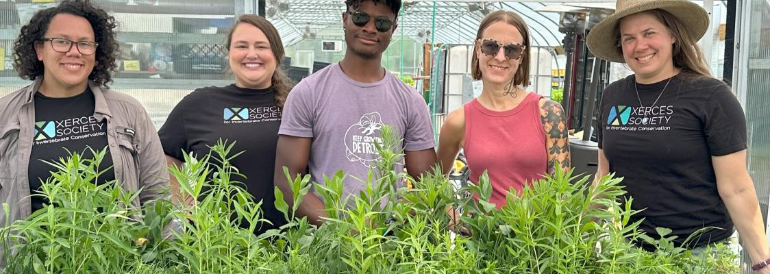 Five people standing behind a row of plants
