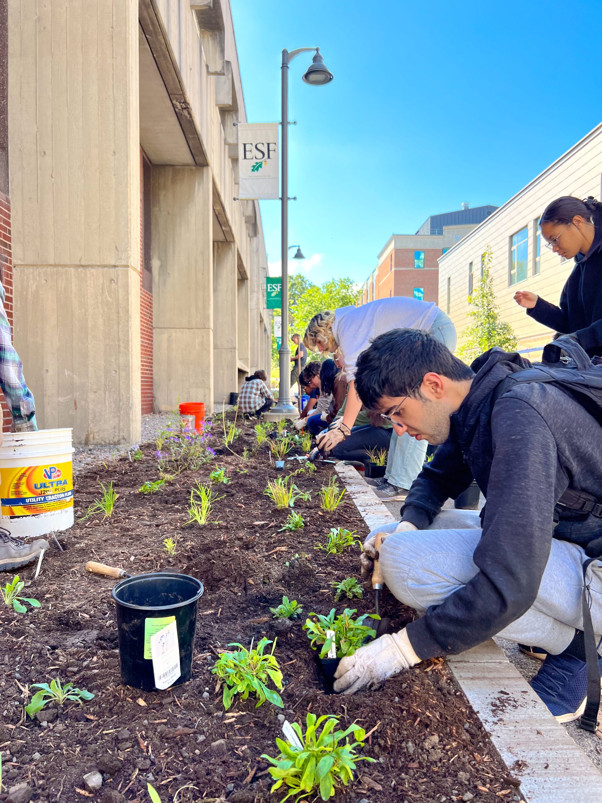 8 people plant small green plants along a building on a sunny day.