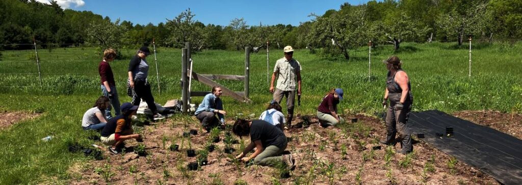 A group of people installing plants, some kneeling and some standing