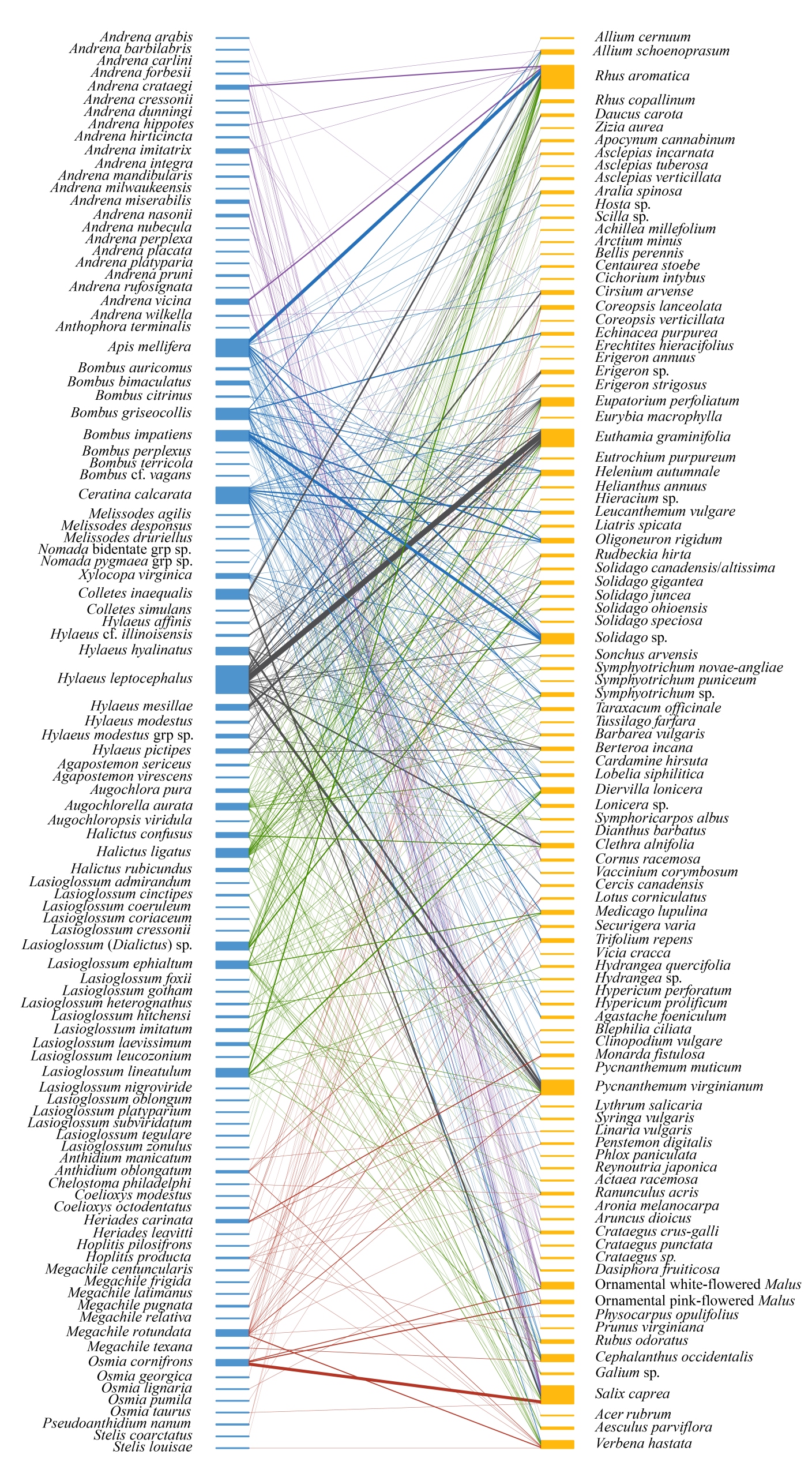 A colorful chart with text on left and right sides with lots of lines in the middle.
