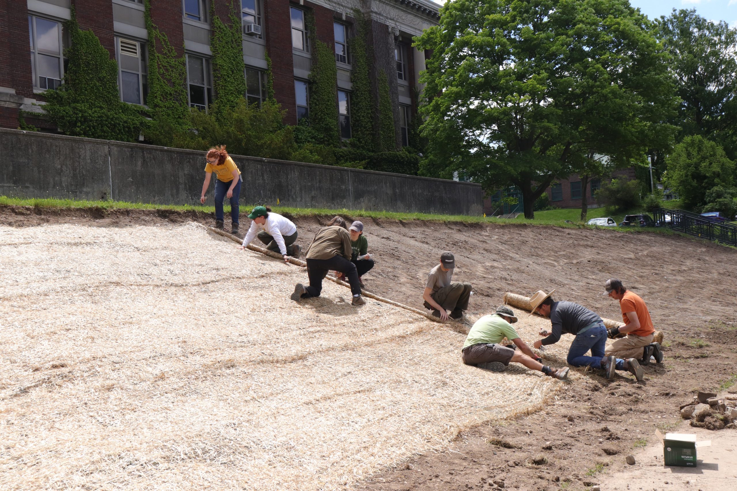 8 people crouch and sit on a steep dirt slope with rolled-out matting partially covering the slope.