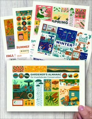 Image of colorful publication pages.