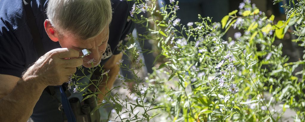 A person leans forward to look closely at a plant through a hand lens.