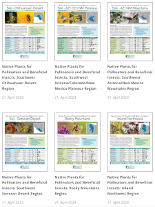 Small images of 6 publications