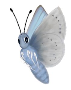 Illustration of Blue, a cartoonish blue butterfly.