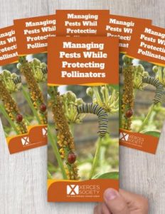 Image of reddish brochures