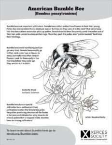 A black and white coloring sheet with a line drawing of a bumble bee and flowers.