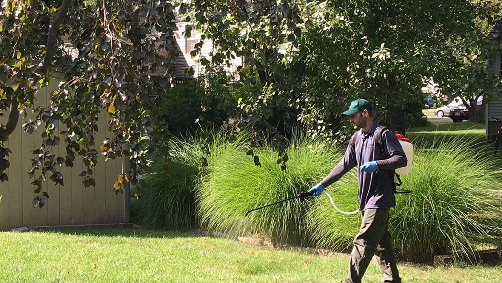 Man walking through a green space spraying pesticides