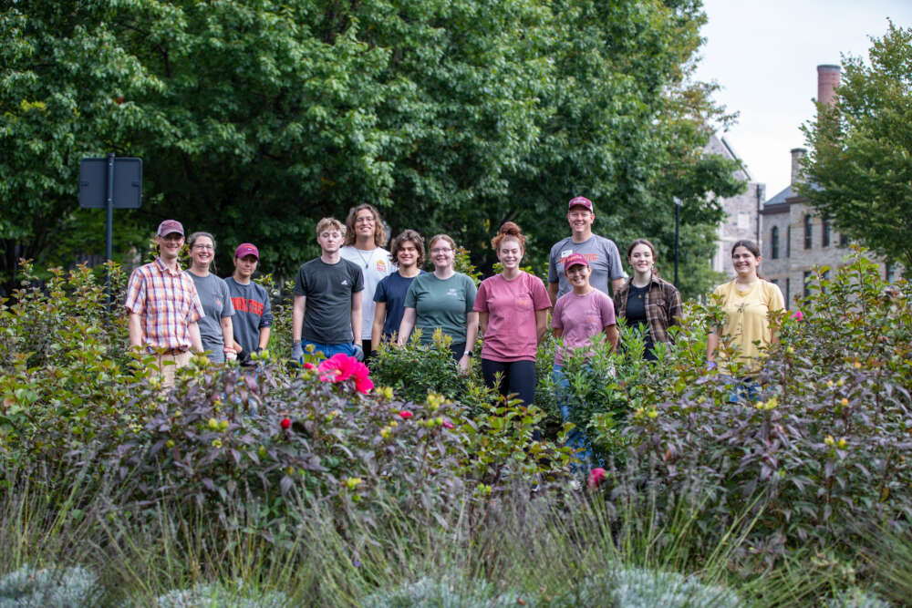2024_Bee_Campus_USA_Virginia_Tech_VA_students and staff A group of students and staff pose behind flowering bushes